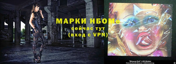 прущие грибы Богородицк