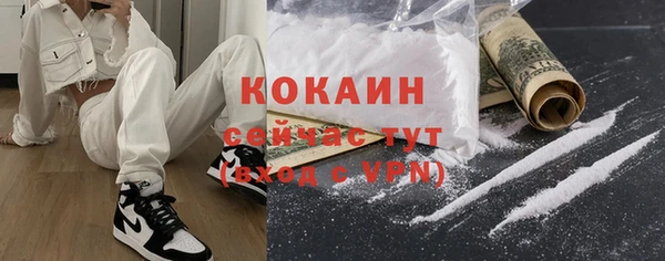 прущие грибы Богородицк